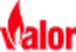 Valor logo